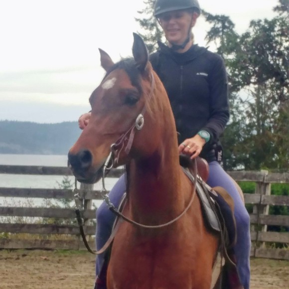 Meet your Posher, Posh - Picture 1 of 1